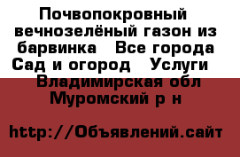 Почвопокровный, вечнозелёный газон из барвинка - Все города Сад и огород » Услуги   . Владимирская обл.,Муромский р-н